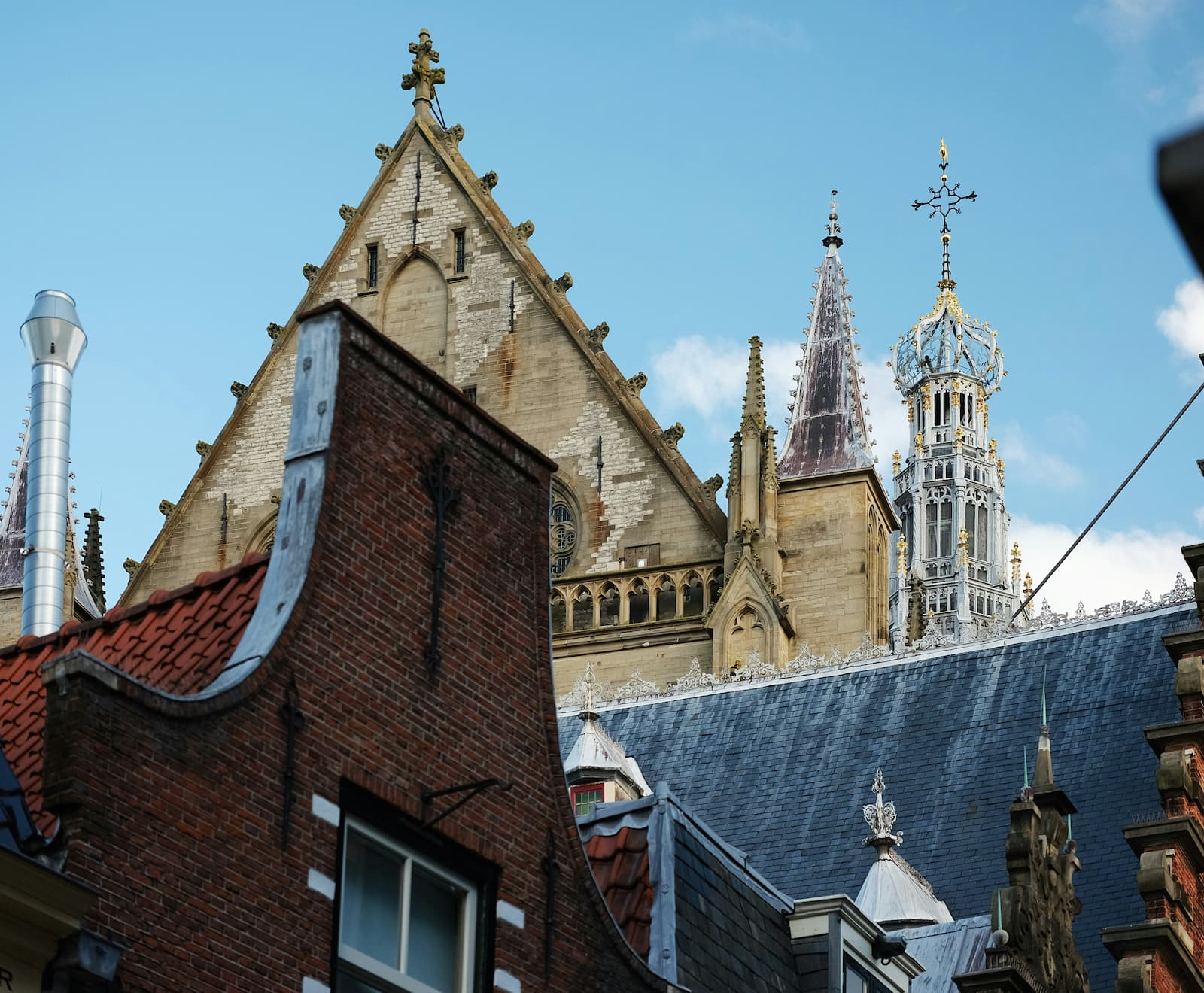 De daken van verschillende gebouwen in Haarlem met een blauwe lucht op de achtergrond.