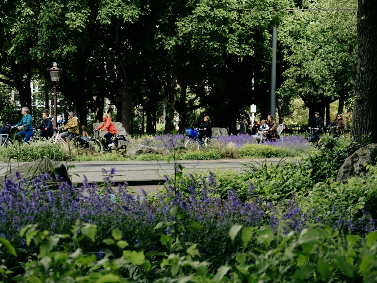 Fietsers door het Vondelpark op een lente dag Fietsers door het Vondelpark op een lente dag