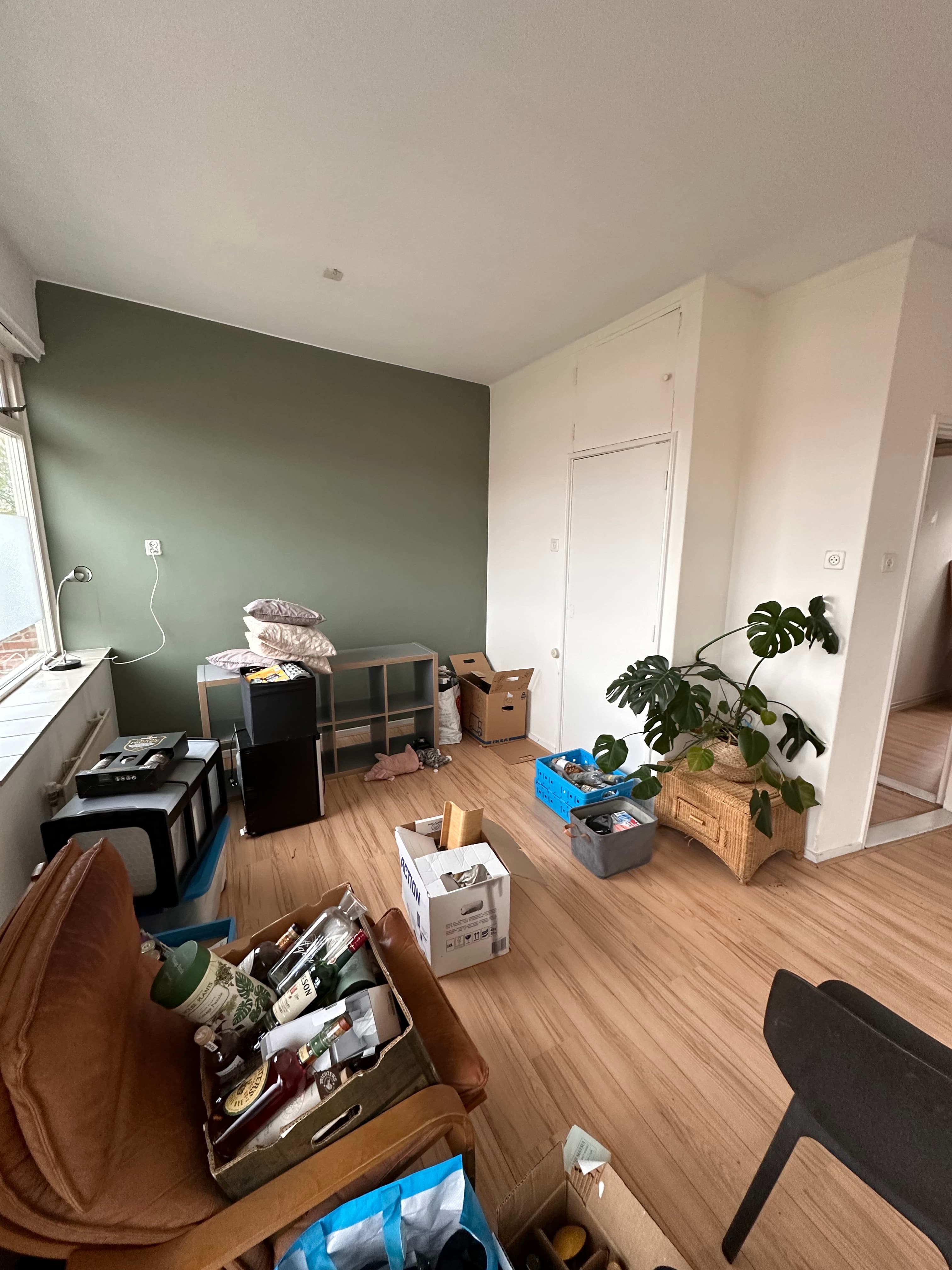 Een woonkamer gevuld met verhuisdozen en een plant. Een woonkamer gevuld met verhuisdozen en een plant.