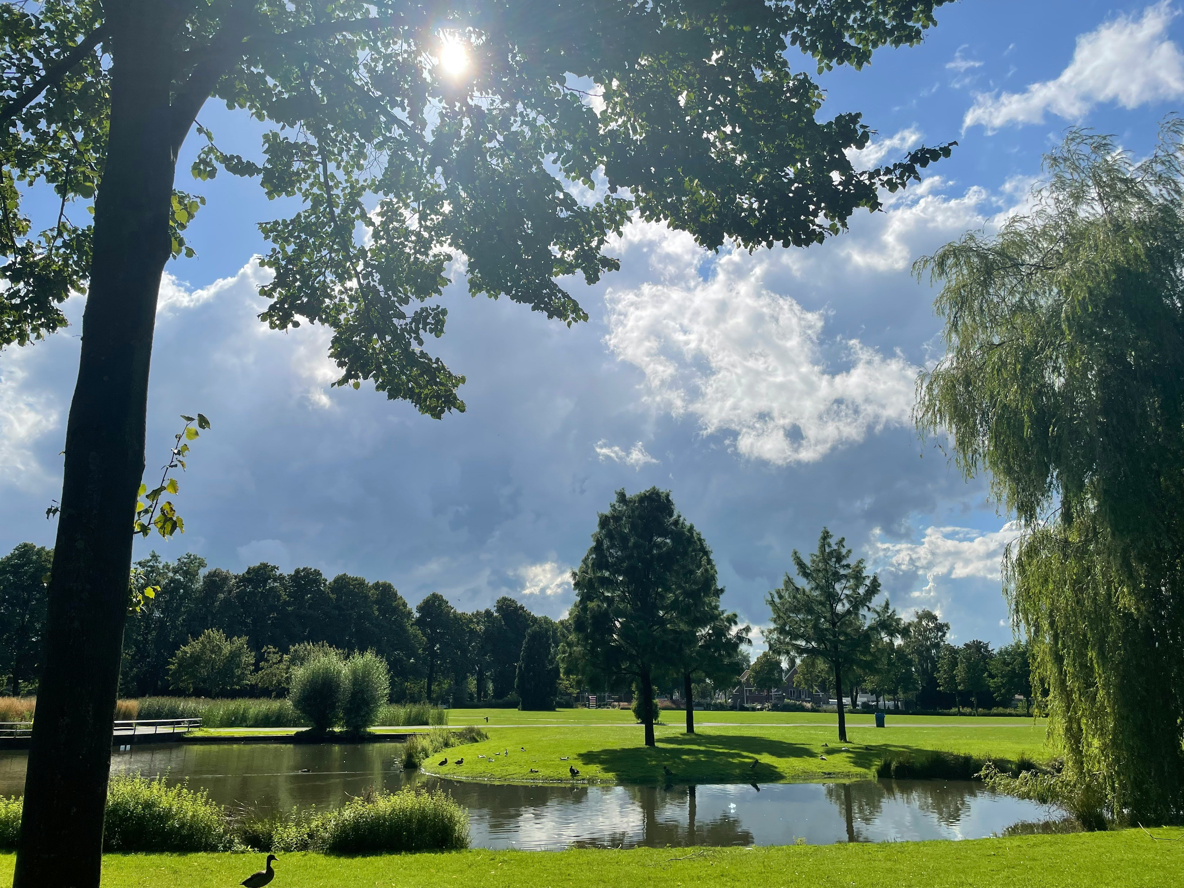 Het Volkspark in Enschede die vol in bloei staat op een zonnige dag. Het Volkspark in Enschede die vol in bloei staat op een zonnige dag.