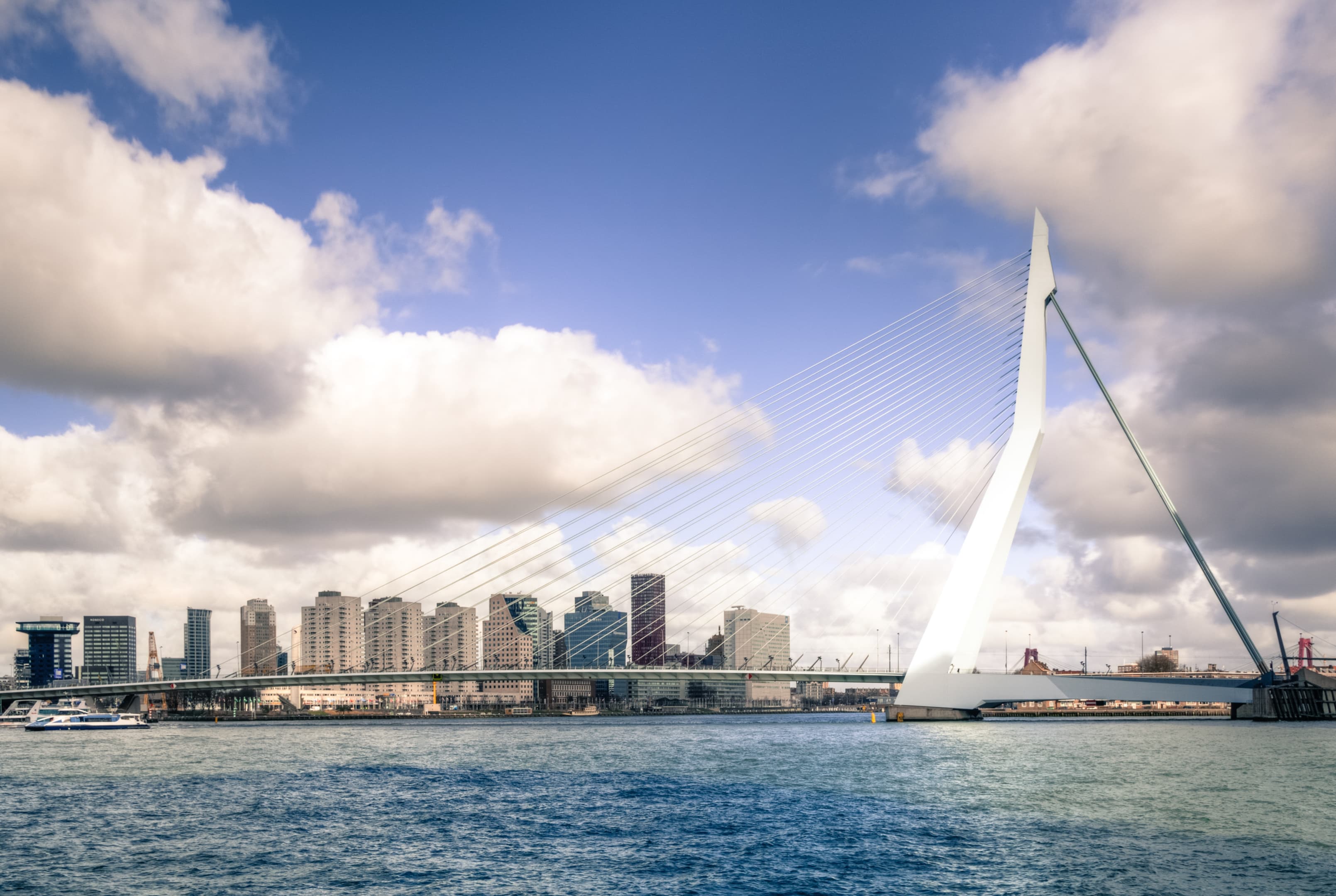 Zijaanzicht van de Erasmusbrug Rotterdam. Zijaanzicht van de Erasmusbrug Rotterdam.