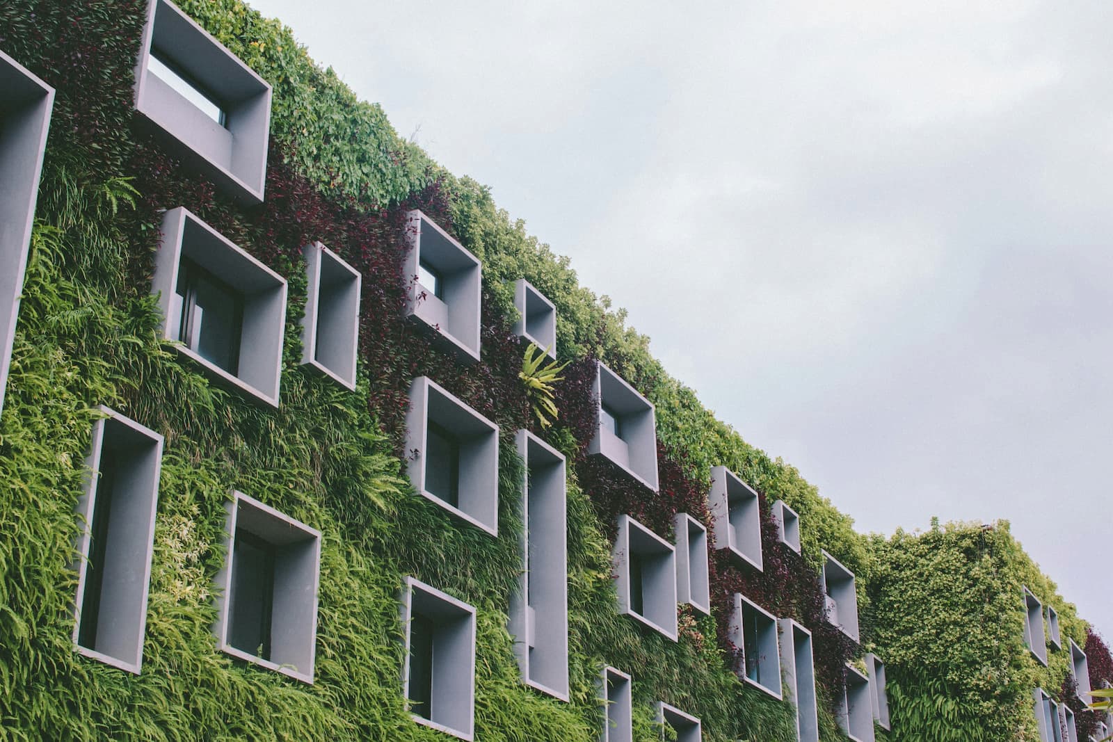 Een eco woning met veel groen Een eco woning met veel groen