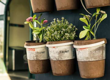 Drie bloempotten op een plank Drie bloempotten op een plank