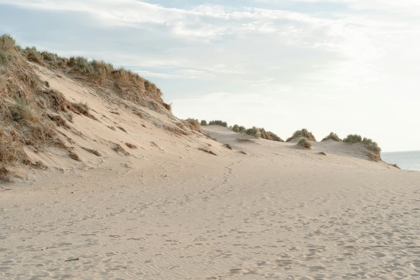 Witte duinen en strand dichtbij Haarlem met een lichte lucht op de achtergrond. 