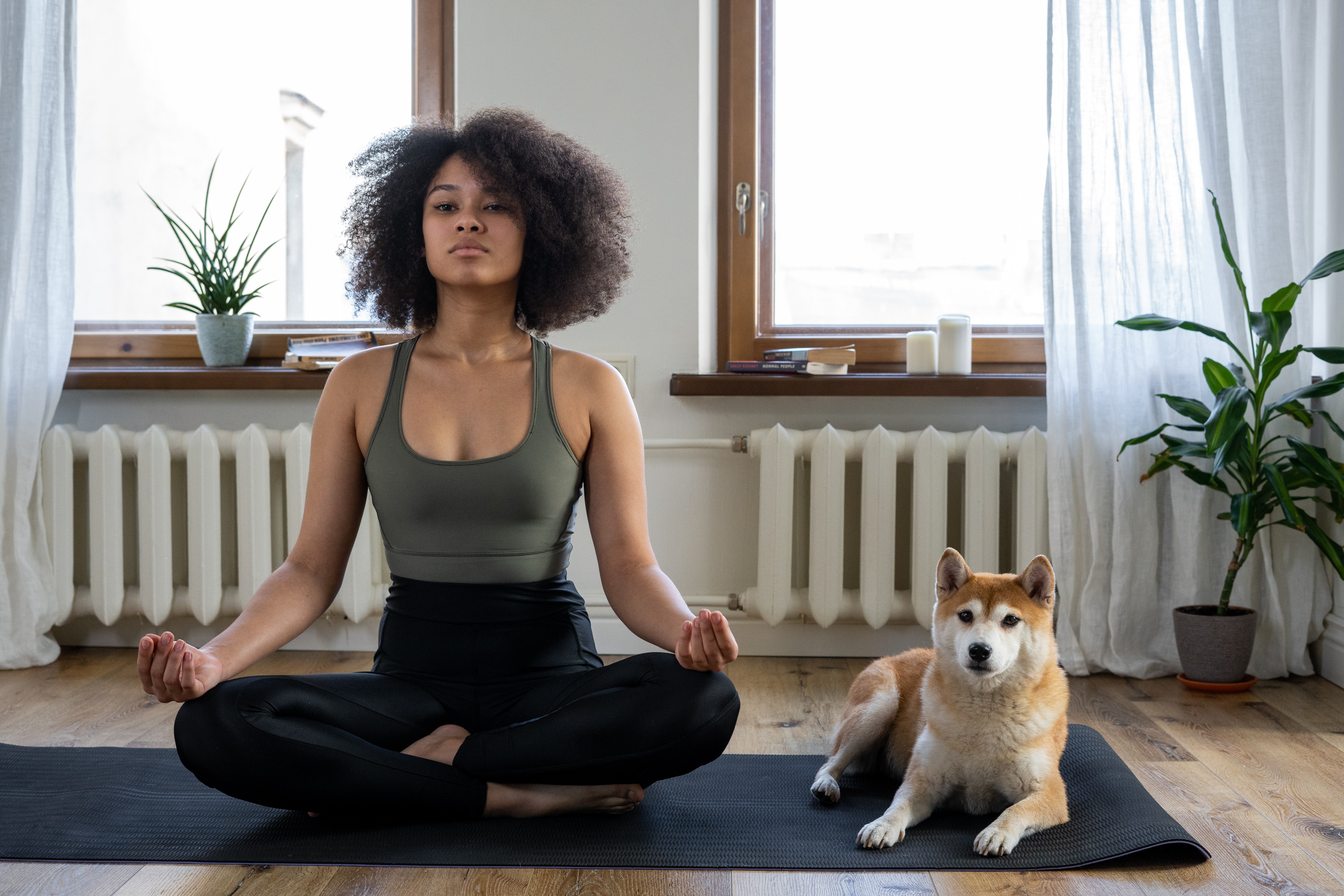 Een vrouw mediteert op een yogamat met haar hond in een modern appartement. Een vrouw mediteert op een yogamat met haar hond in een modern appartement.